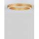 CCT Dimmable Brass Gold Aluminium & Acrylic LED 48 Watt 230 Volt 3730Lm 2700K - 4000K IP20 Remote Control Included D1: 60 D2: 