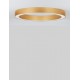 CCT Dimmable Brass Gold Aluminium & Acrylic LED 48 Watt 230 Volt 3730Lm 2700K - 4000K IP20 Remote Control Included D1: 60 D2: 