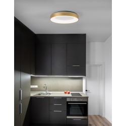 Triac Dimmable Brushed Gold Aluminium & Acrylic LED 50 Watt 230 Volt 2864Lm 3000K IP20 D: 60 H: 9 cm 
