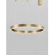 2700-6000K Changing CCT & Dimming Brass Gold Aluminium & Acrylic LED 60 Watt 4165Lm 230 Volt IP20 D: 100 H: 200 cm Adjustable 