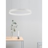 2700-6000K Changing CCT & Dimming Sandy White Aluminium & Acrylic LED 40 Watt 2943Lm 230 Volt IP20 D: 60 H: 200 cm Adjustable 