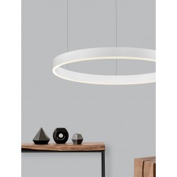 2700-6000K Changing CCT & Dimming Sandy White Aluminium & Acrylic LED 50 Watt 3684Lm 230 Volt IP20 D: 80 H: 200 cm 