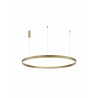 2700-6000K Changing CCT & Dimming Brass Gold Aluminium & Acrylic LED 80 Watt 6000Lm 230 Volt IP20 D: 150 H: 250 cm Adjustab