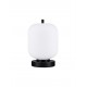 Black Metal & Opal Glass LED E14 1x5 Watt 230 Volt IP20 Bulb Excluded Cable Length: 160 cm D: 16.5 H: 25 cm 