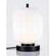 Black Metal & Opal Glass LED E14 1x5 Watt 230 Volt IP20 Bulb Excluded Cable Length: 160 cm D: 16.5 H: 25 cm 