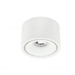 Spot LED Basse Luminance 10W 4000°K Blanc 800lm Ф100x65 mm