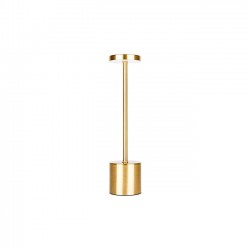 Lampe de Table 1.1W 3CCT Or USB