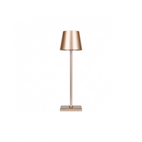 Lampe de Table 3W 4000°K Or USB