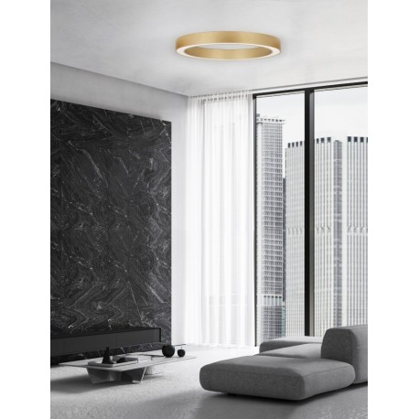 CCT Dimmable Brass Gold Aluminium & Acrylic LED 48 Watt 230 Volt 3730Lm 2700K - 4000K IP20 Remote Control Included D1: 60 D2: 