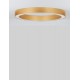CCT Dimmable Brass Gold Aluminium & Acrylic LED 48 Watt 230 Volt 3730Lm 2700K - 4000K IP20 Remote Control Included D1: 60 D2: 
