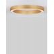 CCT Dimmable Brass Gold Aluminium & Acrylic LED 48 Watt 230 Volt 3730Lm 2700K - 4000K IP20 Remote Control Included D1: 60 D2: 