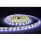 BANDE LED 12V - 30LEDs/m 7.2W/m 6000°K 5m Epoxy IP65