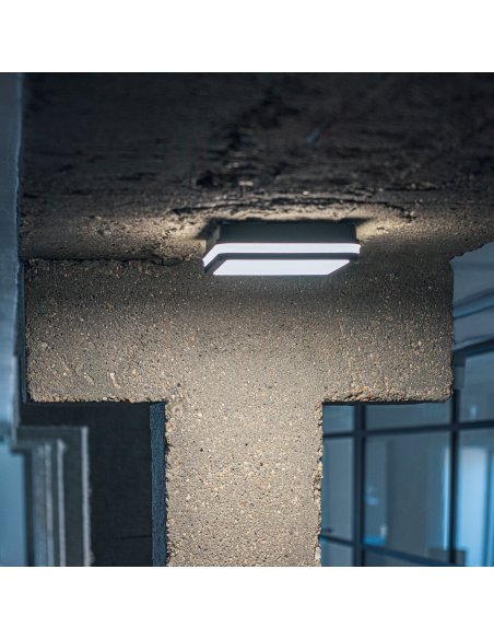 Plafonnier LED Carré Graphite 260 x 260mm 24/30W CCT + détecteur