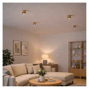 Support de Spot Orientable Saillie bois et noir style scandinave au dessus d'un canapé dans un salon avec ampoule GU10