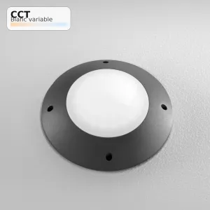 Spot de Sol 12W 1480lm Anthracite CCT IP65 INTEC GROUND | Fan Europe