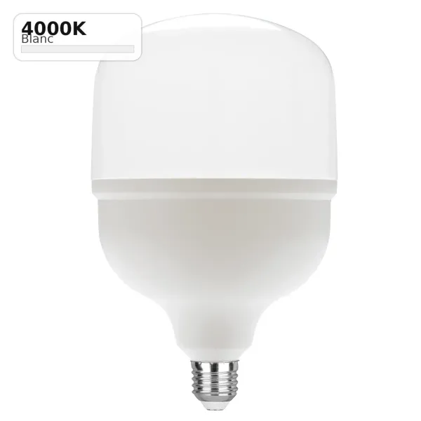 Ampoule LED Lowbay E27 45W 5800lm 4000K - Fan Europe