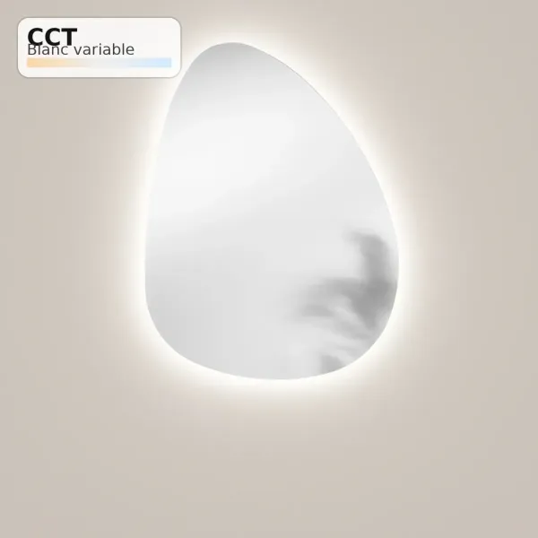 Miroir LED Salle de Bain DROP 60x80 cm | Design Moderne & Lumineux