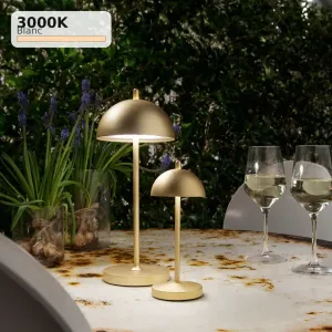 Lampe de Table LED Rechargeable PARTY 30cm - Fan Europe Lighting