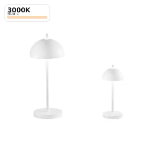 Lampe de Table LED Rechargeable PARTY 30cm - Fan Europe Lighting