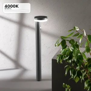 Applique solaire LED Enya 5W anthracite avec détecteur Fan Europe